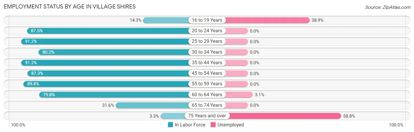 Employment Status by Age in Village Shires