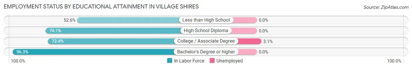 Employment Status by Educational Attainment in Village Shires