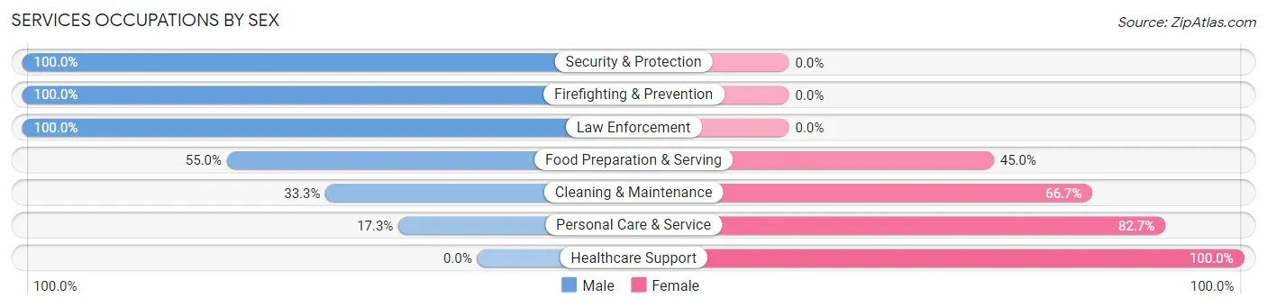 Services Occupations by Sex in Village Shires