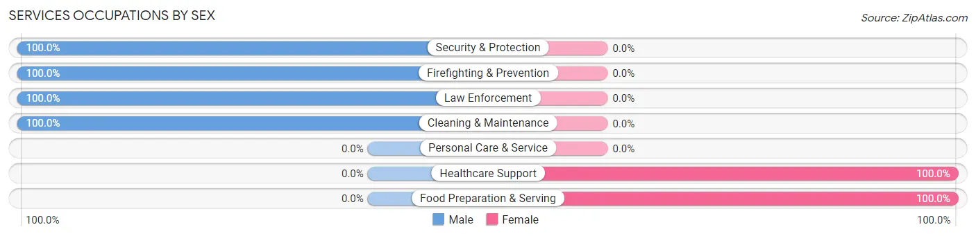 Services Occupations by Sex in Vinco