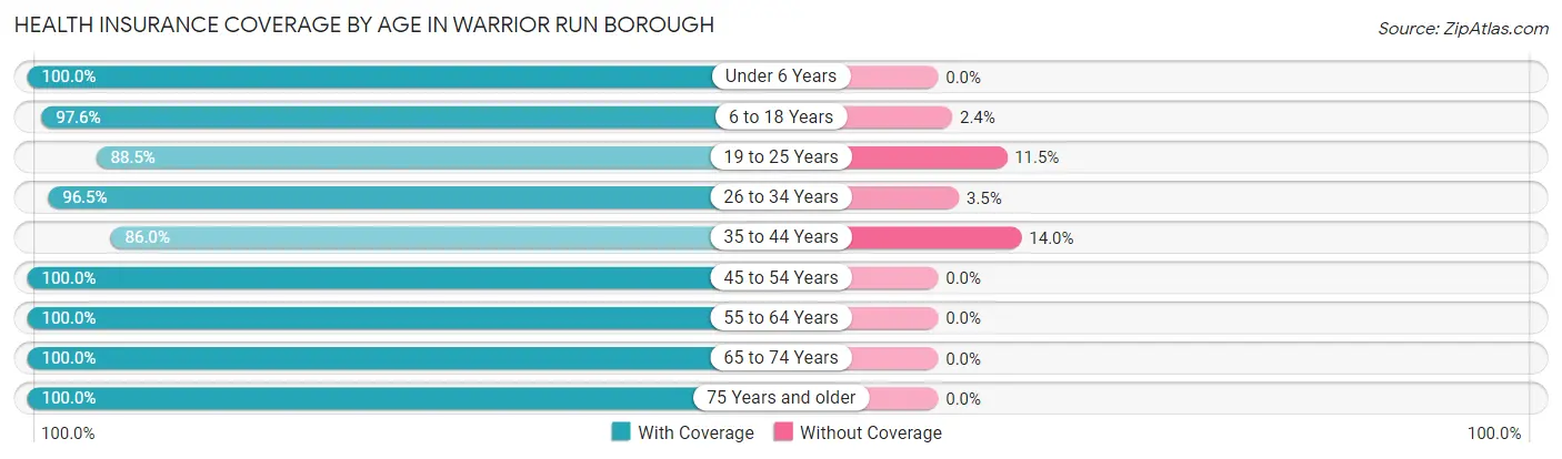 Health Insurance Coverage by Age in Warrior Run borough