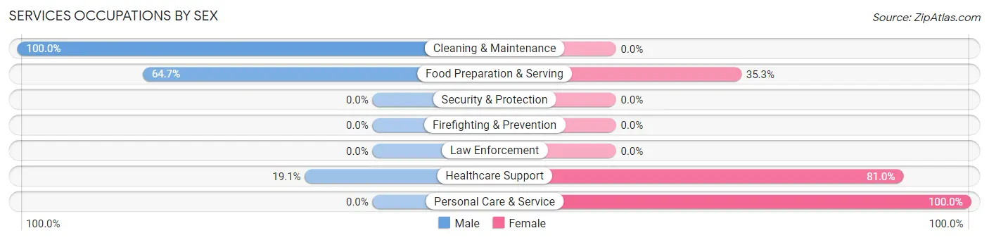 Services Occupations by Sex in West Leechburg borough