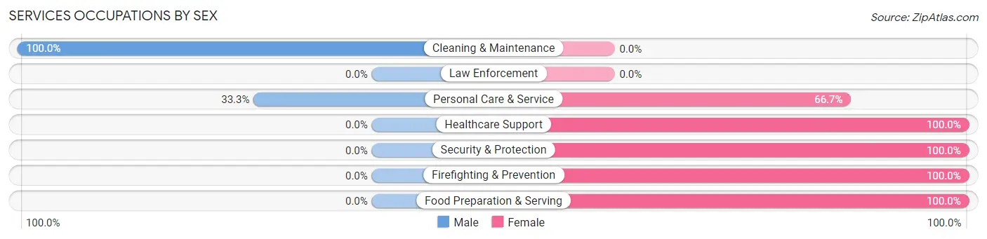 Services Occupations by Sex in West Liberty borough