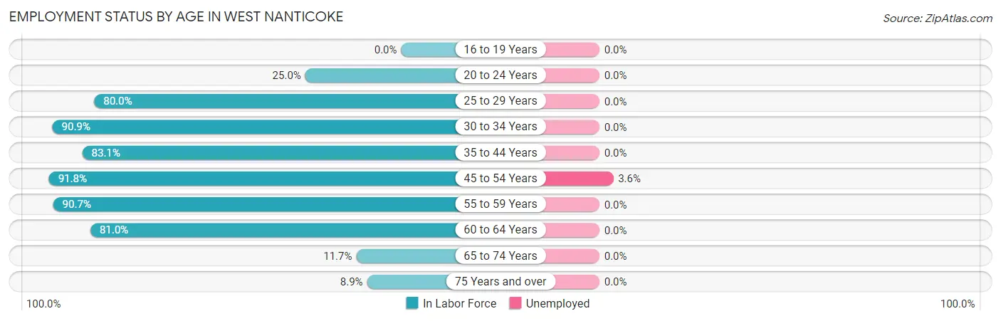 Employment Status by Age in West Nanticoke