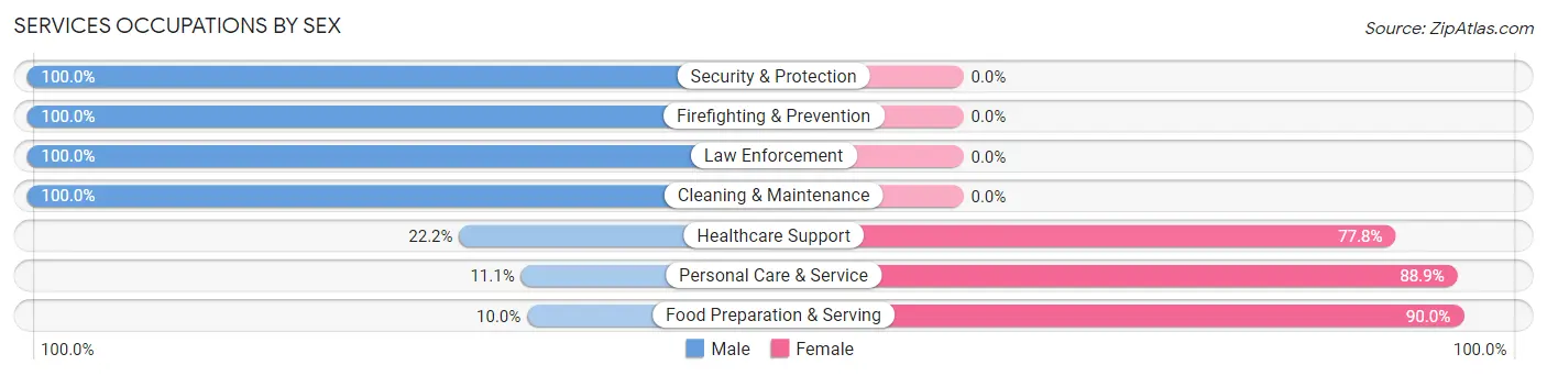 Services Occupations by Sex in West Wyoming borough