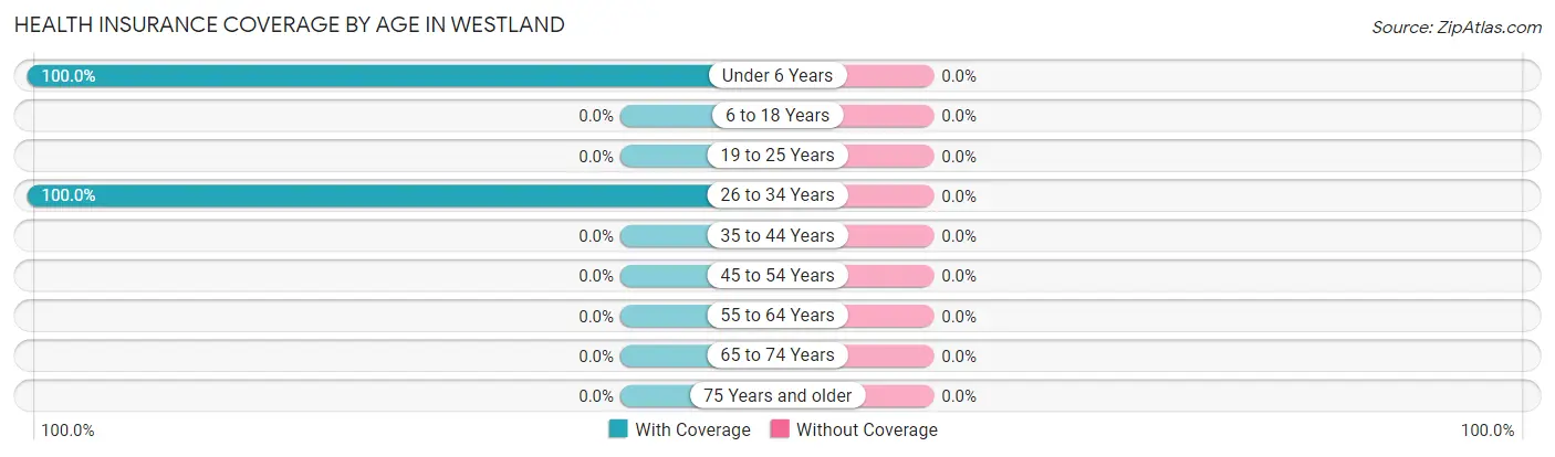Health Insurance Coverage by Age in Westland
