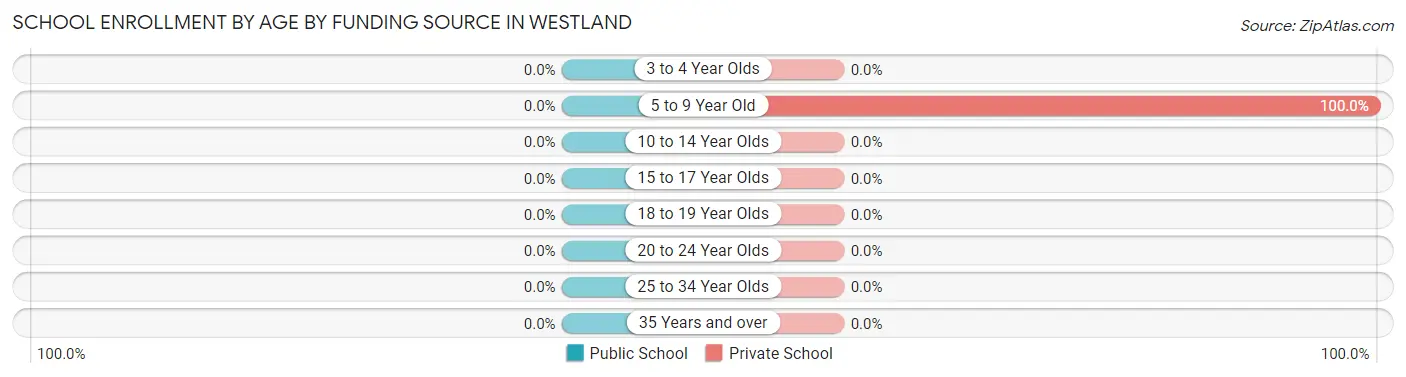 School Enrollment by Age by Funding Source in Westland