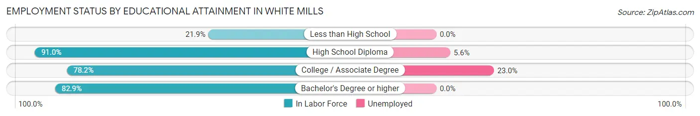 Employment Status by Educational Attainment in White Mills