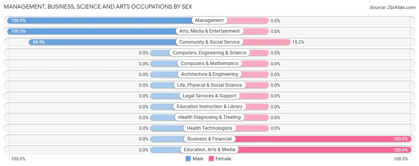 Management, Business, Science and Arts Occupations by Sex in White Mills