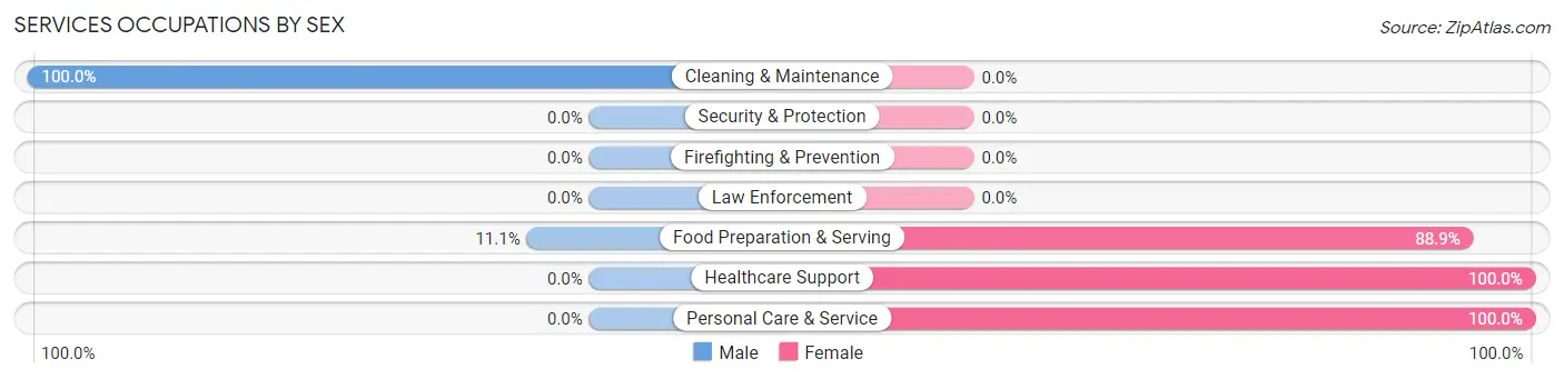 Services Occupations by Sex in White Mills