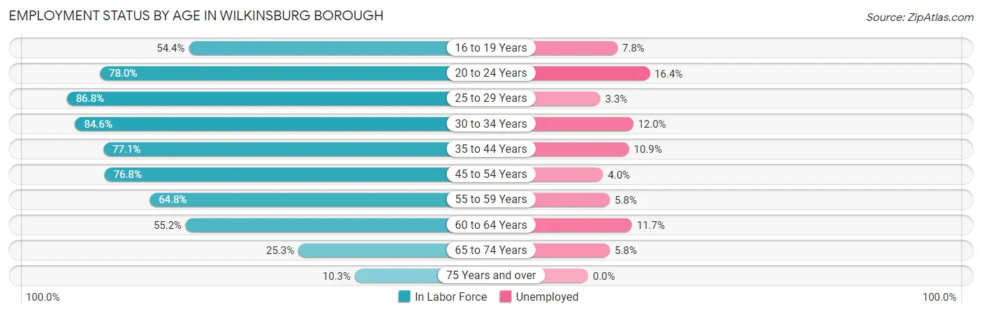 Employment Status by Age in Wilkinsburg borough