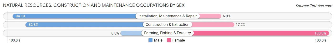 Natural Resources, Construction and Maintenance Occupations by Sex in Wilkinsburg borough