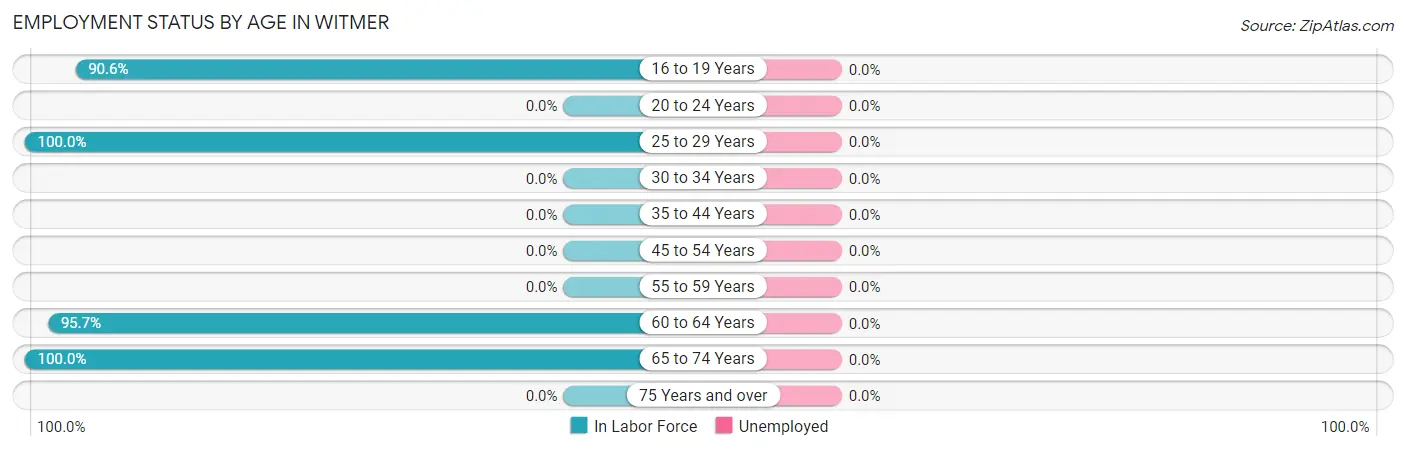 Employment Status by Age in Witmer