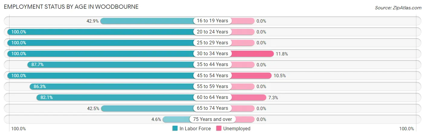 Employment Status by Age in Woodbourne