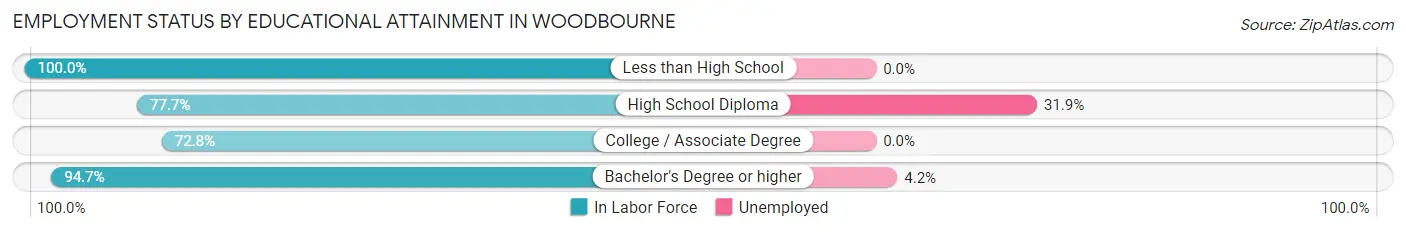 Employment Status by Educational Attainment in Woodbourne