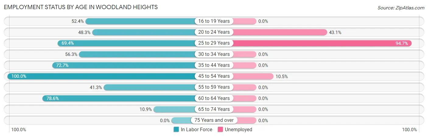 Employment Status by Age in Woodland Heights
