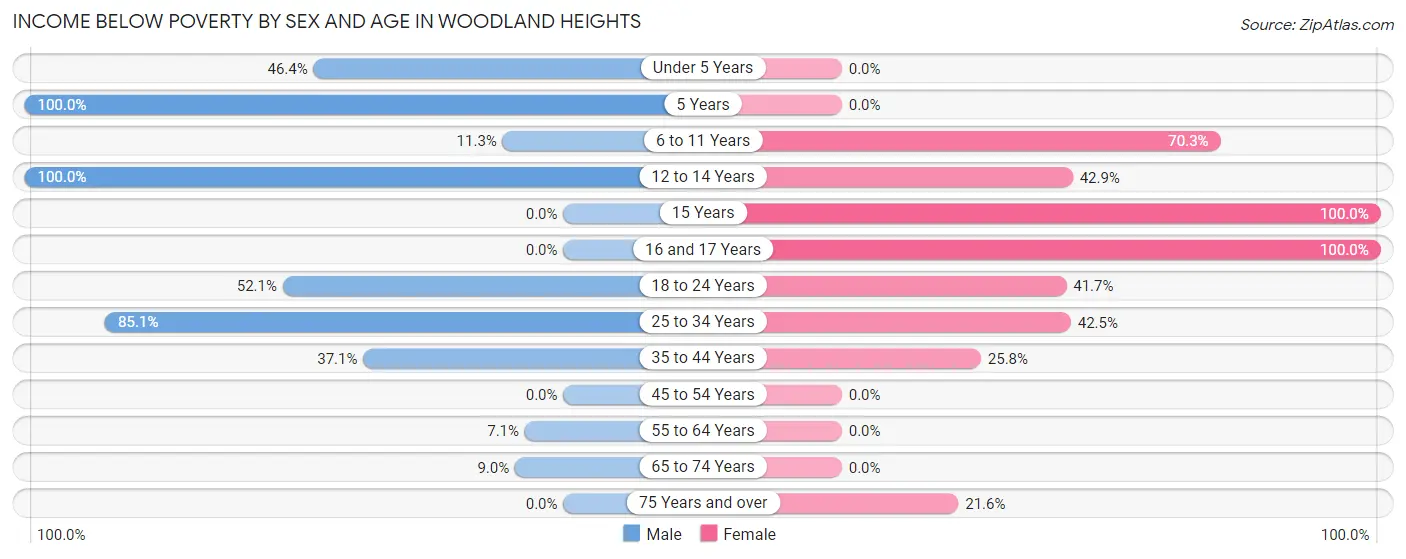 Income Below Poverty by Sex and Age in Woodland Heights