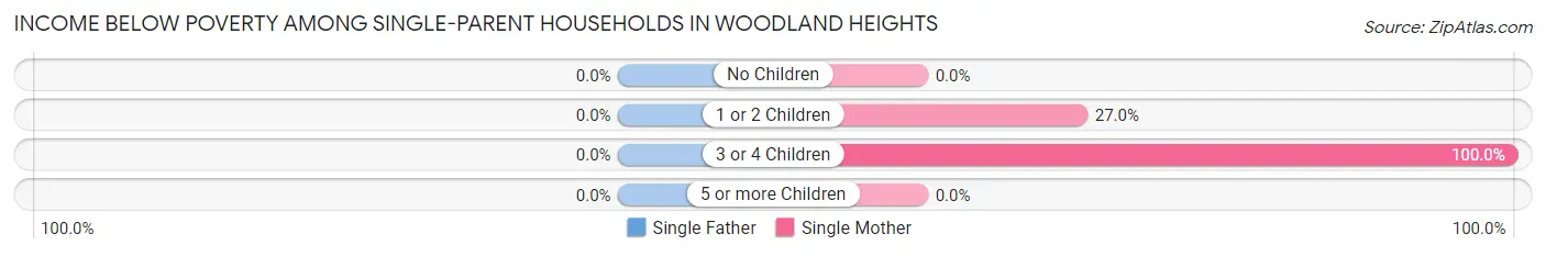 Income Below Poverty Among Single-Parent Households in Woodland Heights