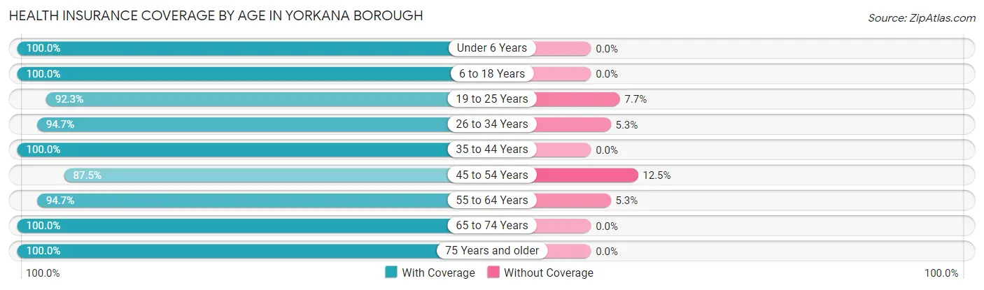 Health Insurance Coverage by Age in Yorkana borough