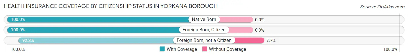 Health Insurance Coverage by Citizenship Status in Yorkana borough
