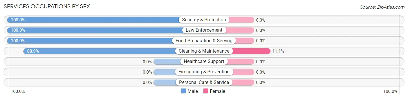 Services Occupations by Sex in Yorkana borough