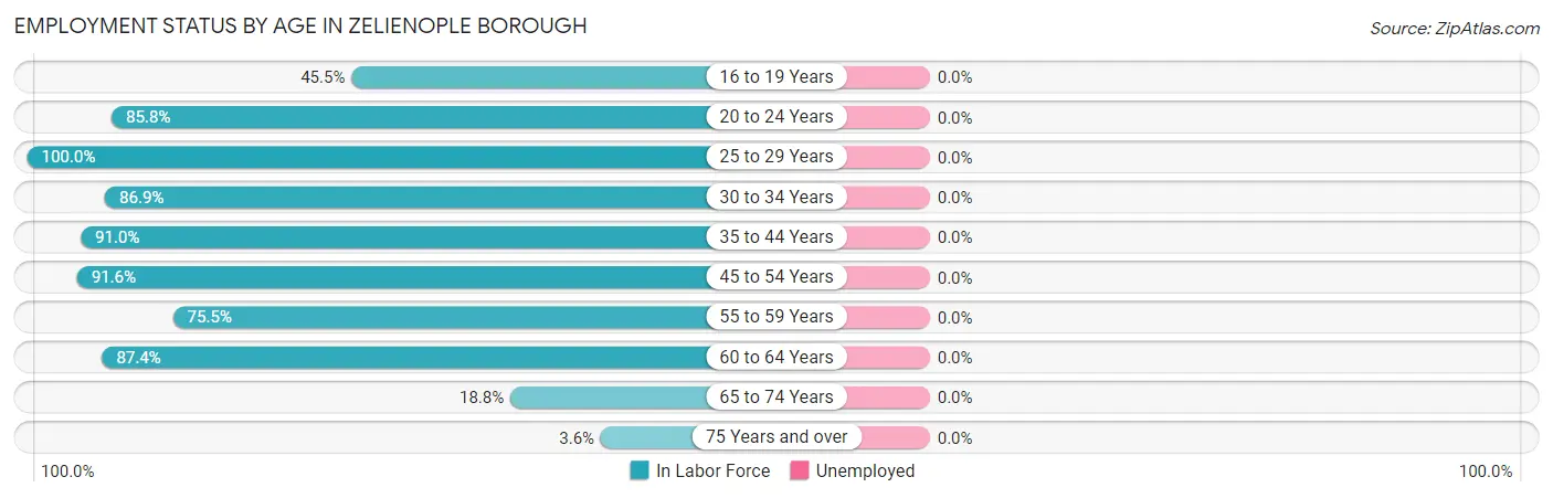 Employment Status by Age in Zelienople borough