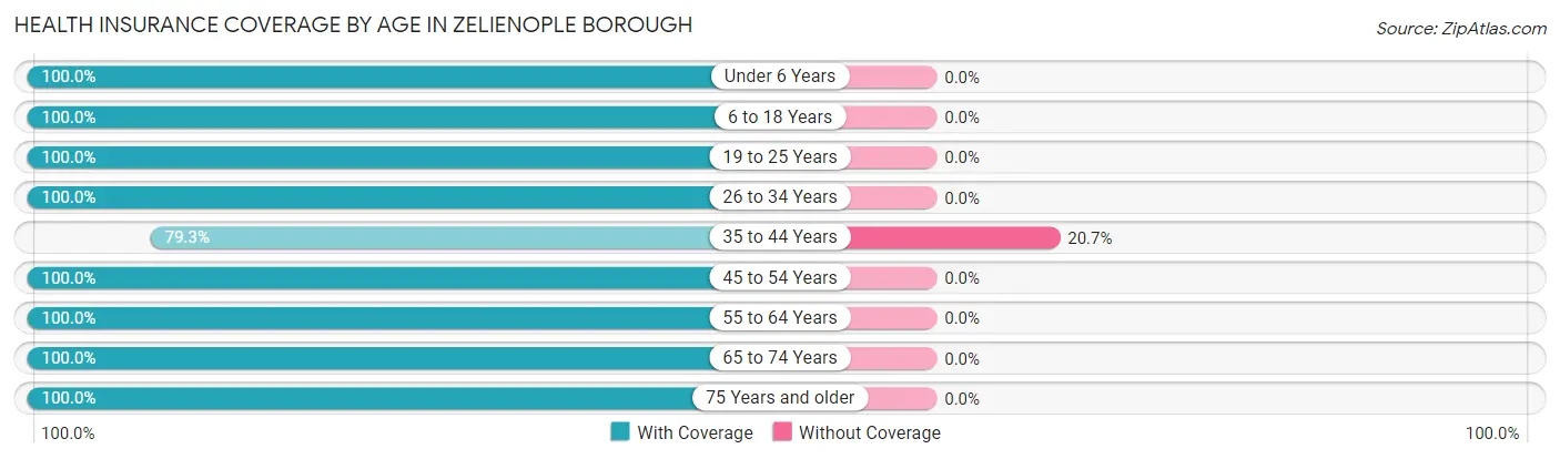 Health Insurance Coverage by Age in Zelienople borough