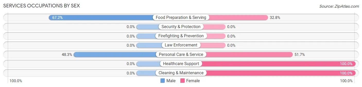 Services Occupations by Sex in Zion