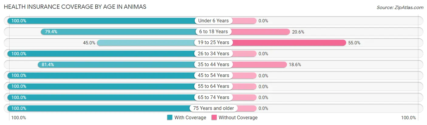 Health Insurance Coverage by Age in Animas