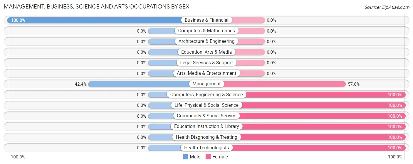 Management, Business, Science and Arts Occupations by Sex in Bajadero