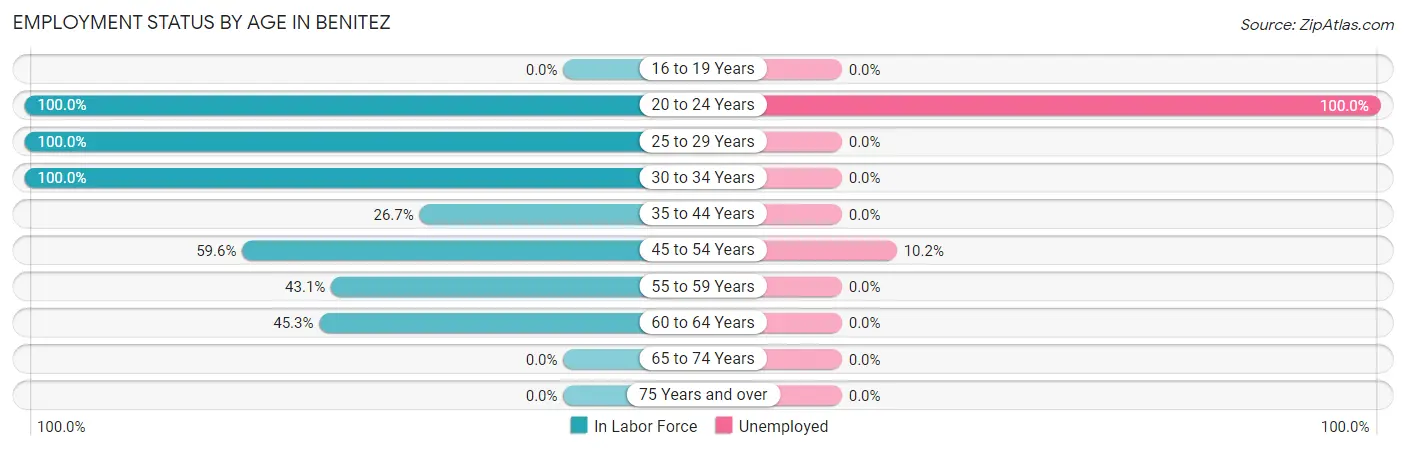 Employment Status by Age in Benitez