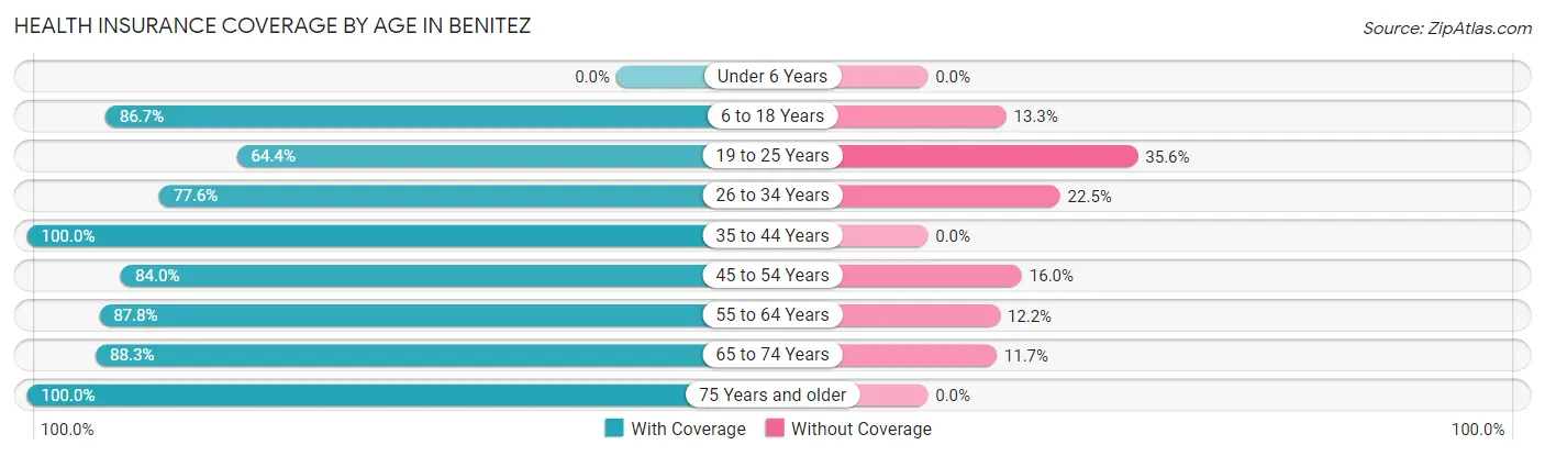 Health Insurance Coverage by Age in Benitez
