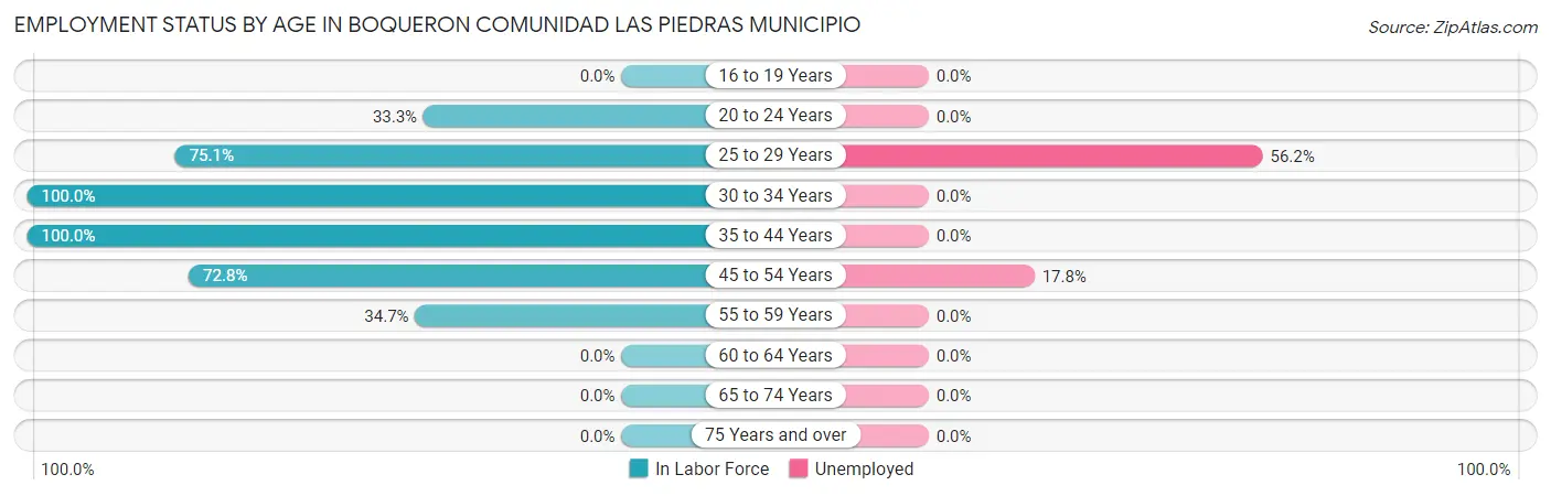 Employment Status by Age in Boqueron comunidad Las Piedras Municipio