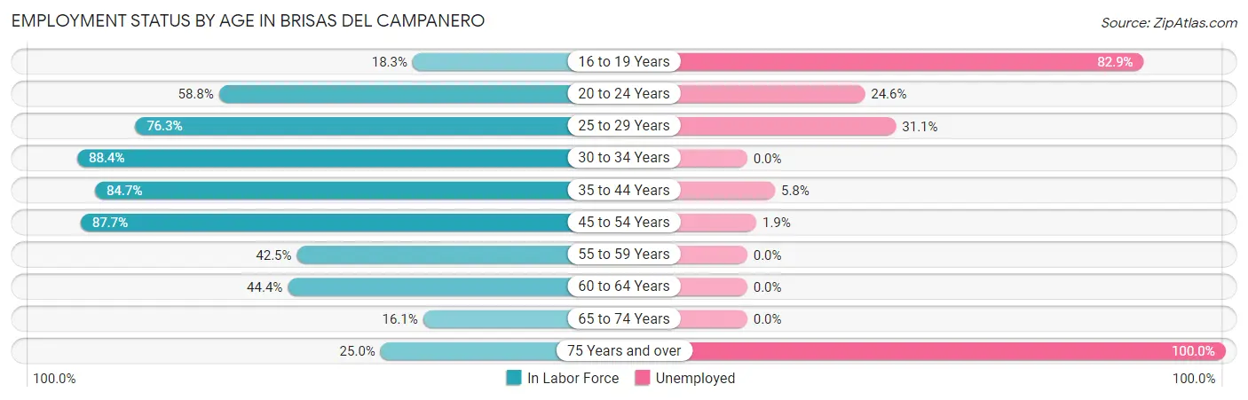 Employment Status by Age in Brisas del Campanero