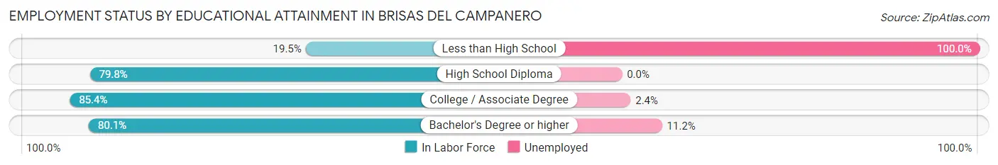 Employment Status by Educational Attainment in Brisas del Campanero