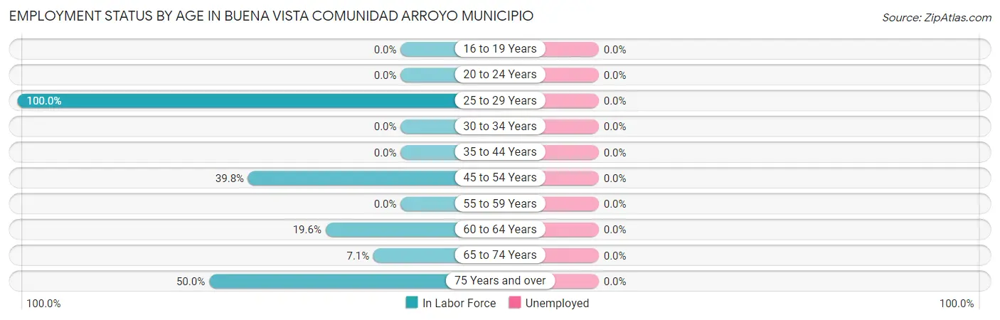 Employment Status by Age in Buena Vista comunidad Arroyo Municipio
