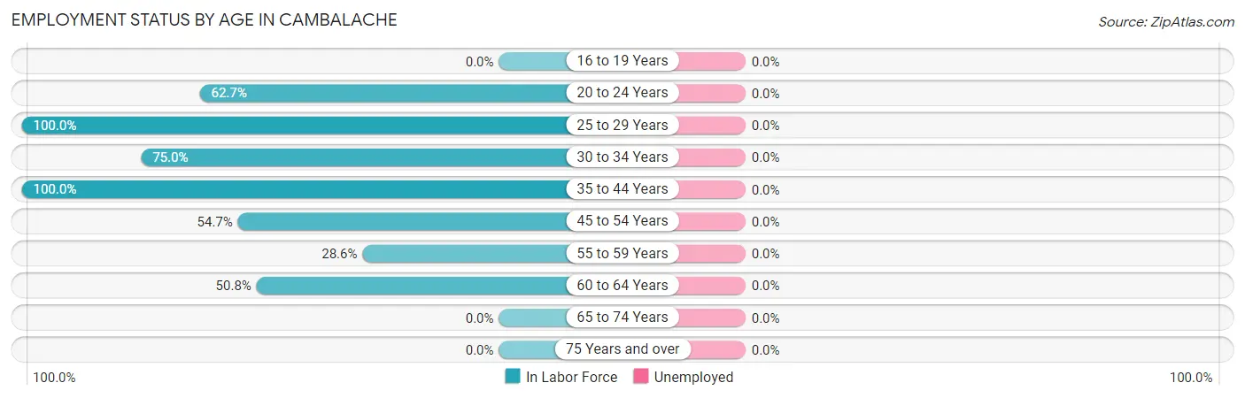 Employment Status by Age in Cambalache