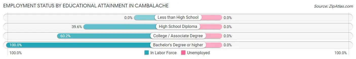 Employment Status by Educational Attainment in Cambalache