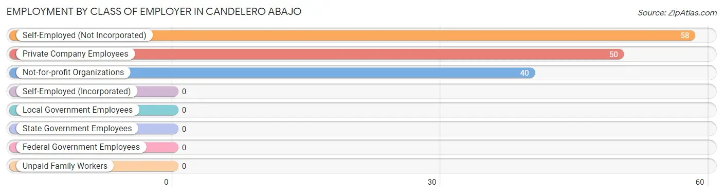 Employment by Class of Employer in Candelero Abajo