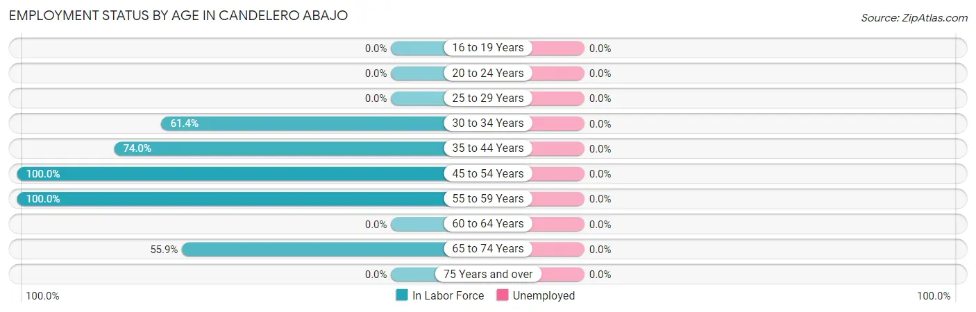 Employment Status by Age in Candelero Abajo