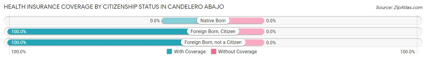 Health Insurance Coverage by Citizenship Status in Candelero Abajo