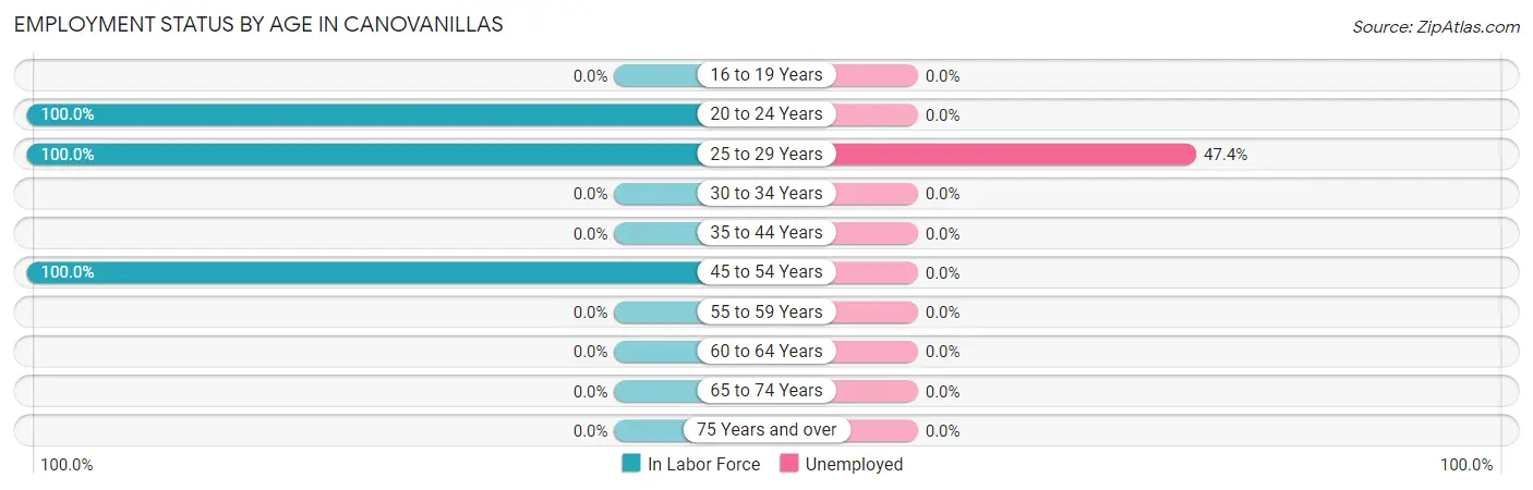 Employment Status by Age in Canovanillas