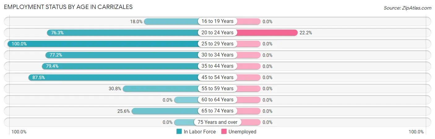 Employment Status by Age in Carrizales