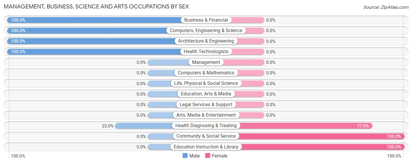 Management, Business, Science and Arts Occupations by Sex in Carrizales