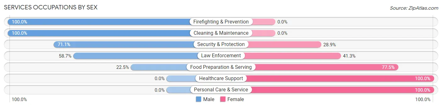 Services Occupations by Sex in Carrizales
