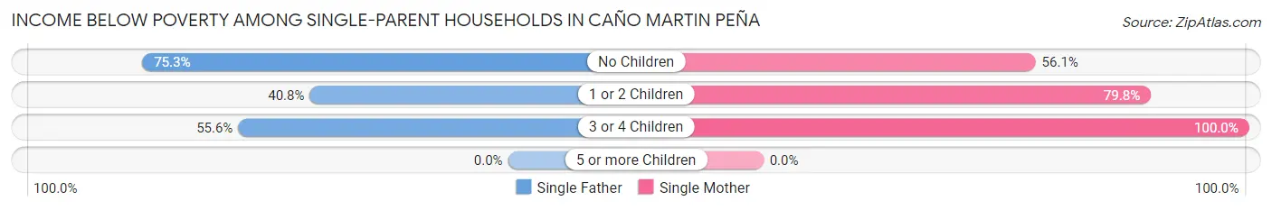 Income Below Poverty Among Single-Parent Households in Caño Martin Peña