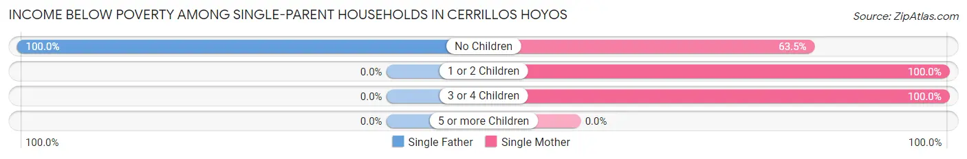 Income Below Poverty Among Single-Parent Households in Cerrillos Hoyos