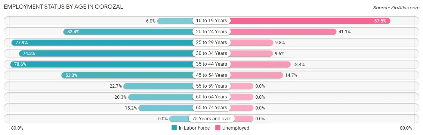 Employment Status by Age in Corozal