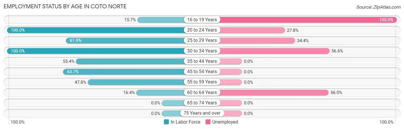 Employment Status by Age in Coto Norte