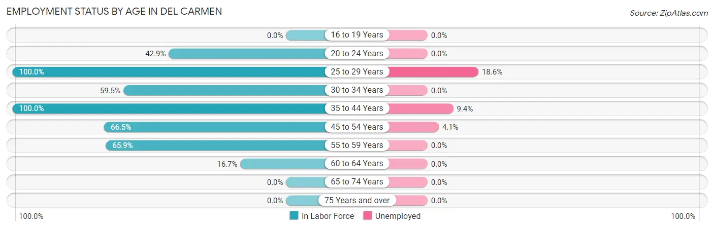 Employment Status by Age in Del Carmen